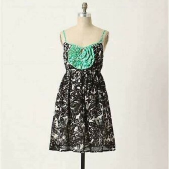 Anthropologie Dresses & Skirts - Anthropologie WE LOVE VERA Floral Dress